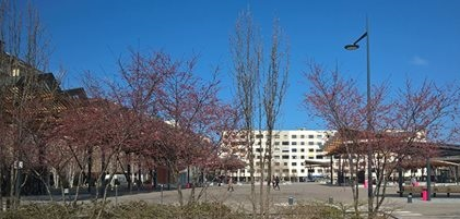 Hôtel de ville - Annemasse