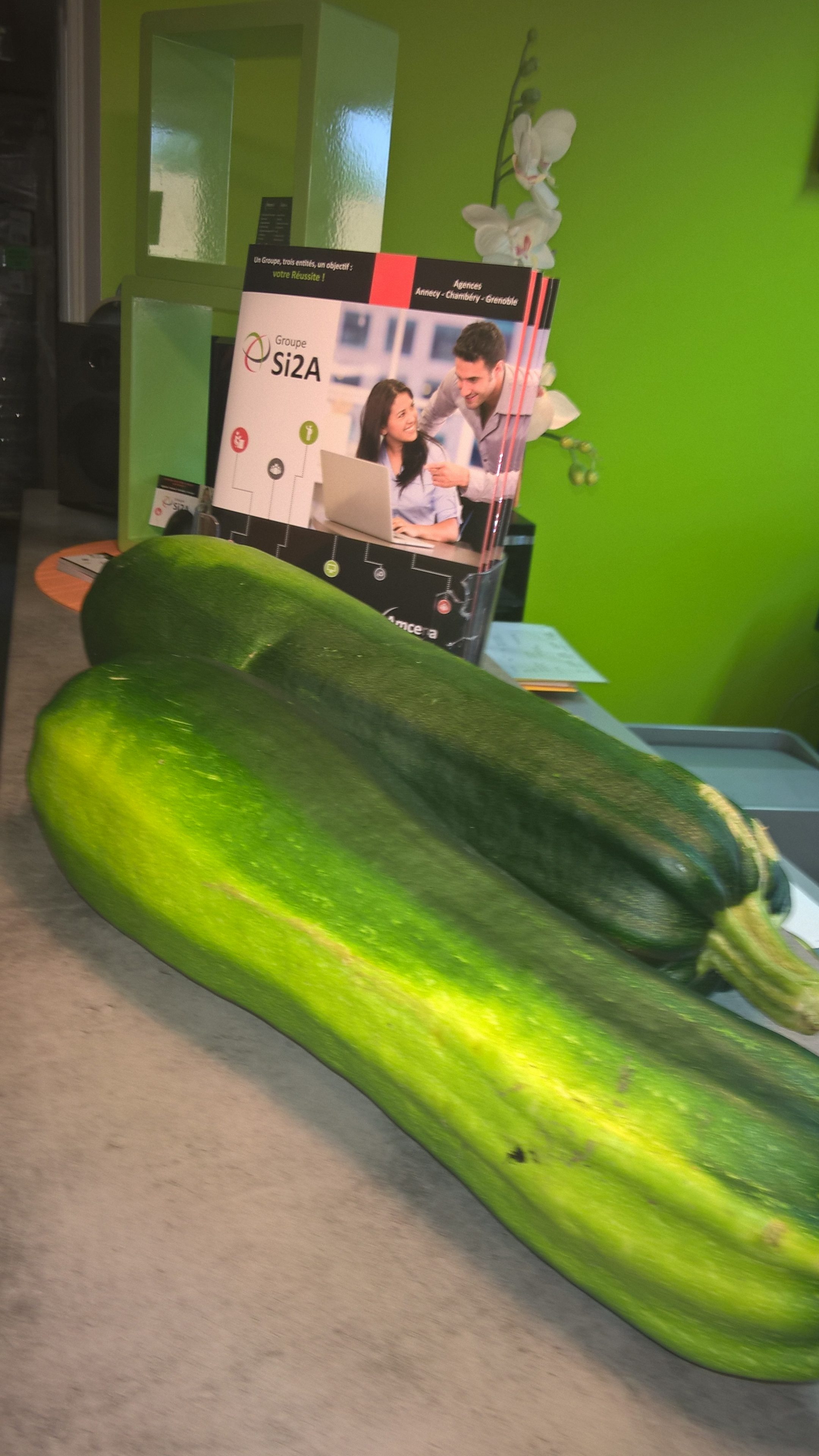 courgette