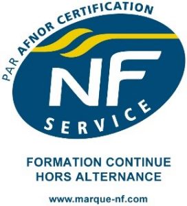 Logo NF SERVICE